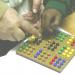 Basic Concepts in Metro Central Education District